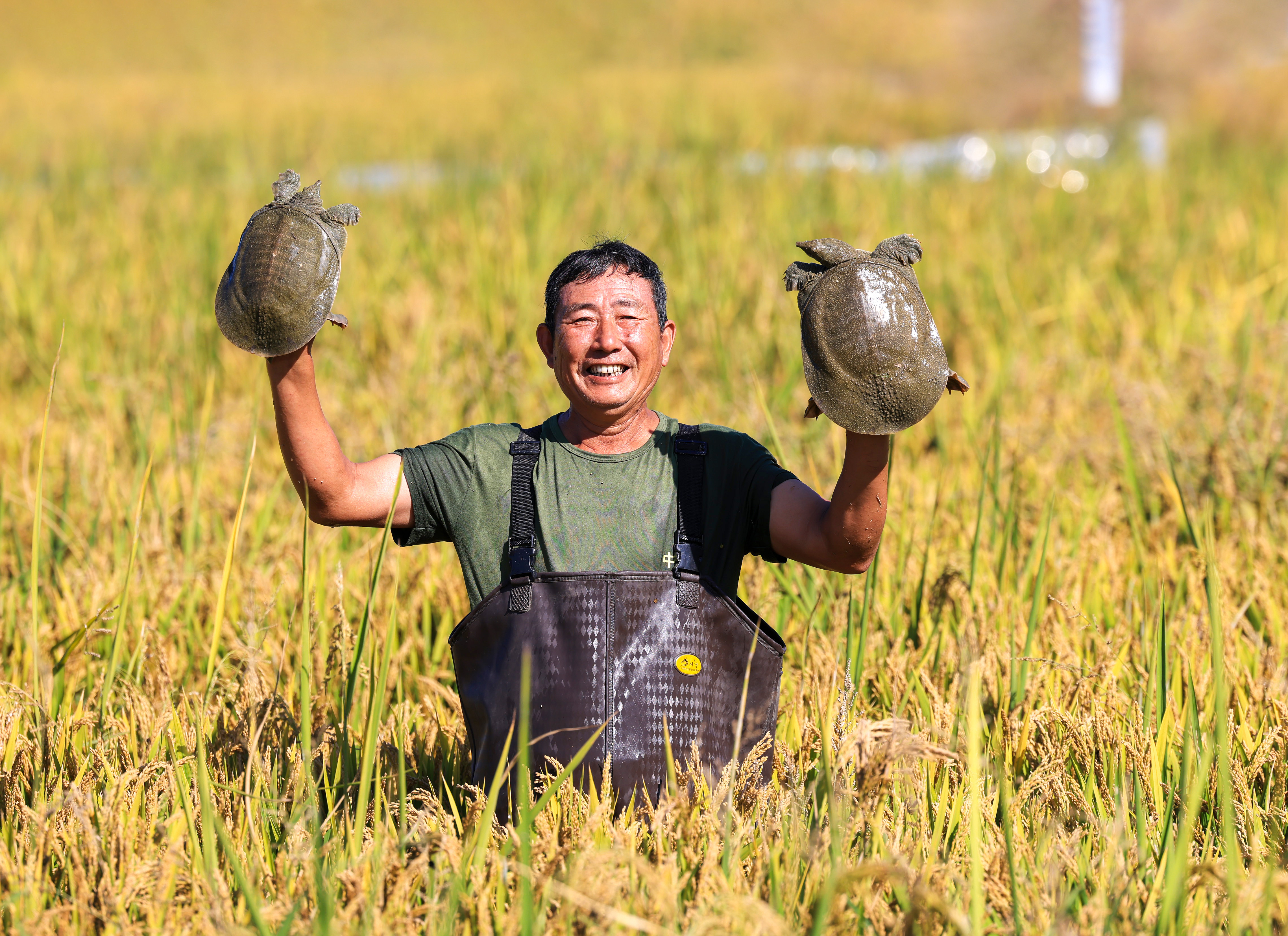 1699854539907299dsu8.jpg 共養(yǎng)(1).jpg